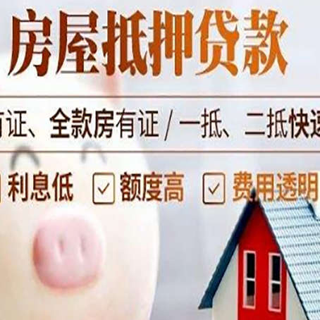 电白贷款助贷公司新渝启服靠谱公司